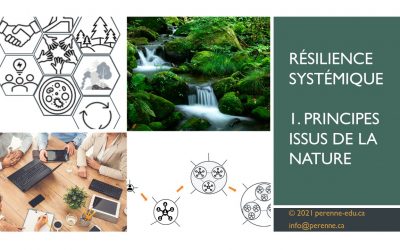 Résilience systémique: 1. Principes issus de la nature